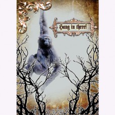  GREETING CARD Hang in There (Get Well)